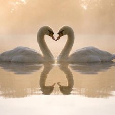 Схема вышивки «Лебеди»