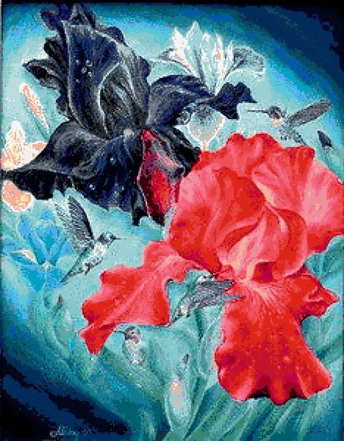 №337593 - ирисы, колибри, цветы, птицы, букеты - предпросмотр