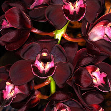 Схема вышивки «Орхидея»