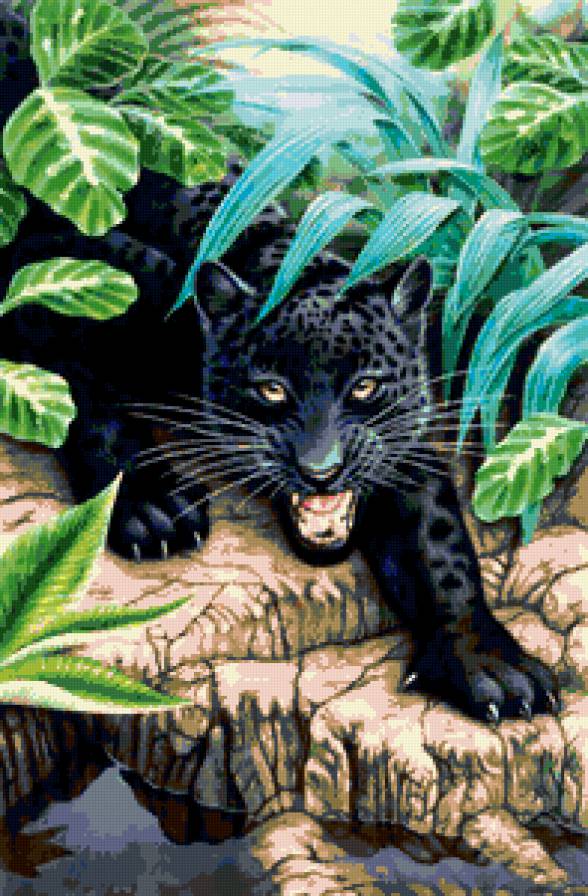 №337603 - пантера, животные, дикая кошка, вода, дикий мир, природа - предпросмотр