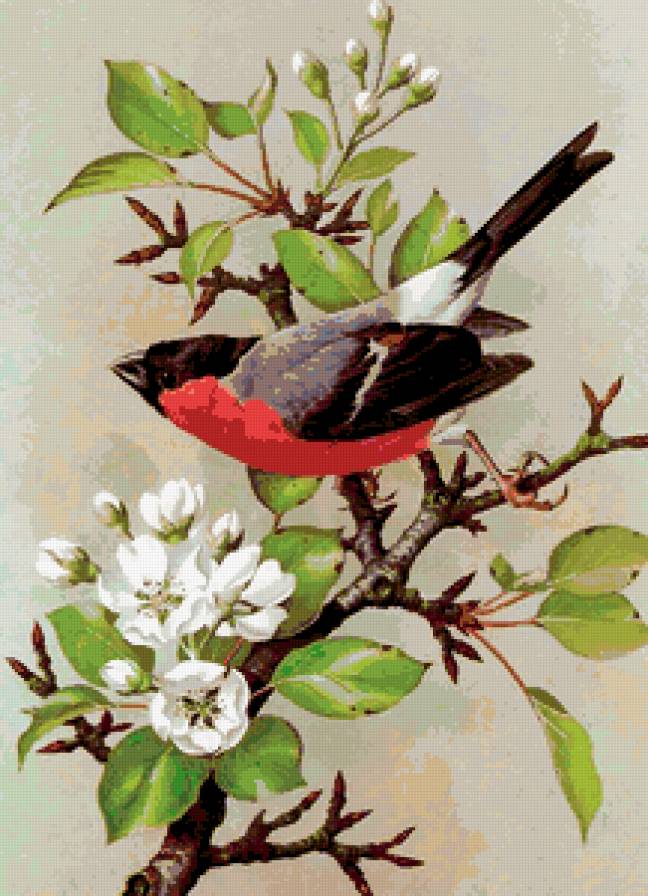 птичка на яблоне - предпросмотр