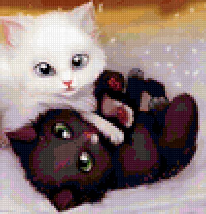Котята - белый, черный, котята - предпросмотр