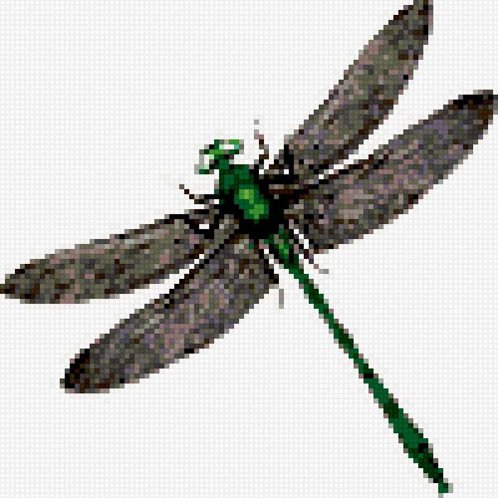 Стрекоза - предпросмотр