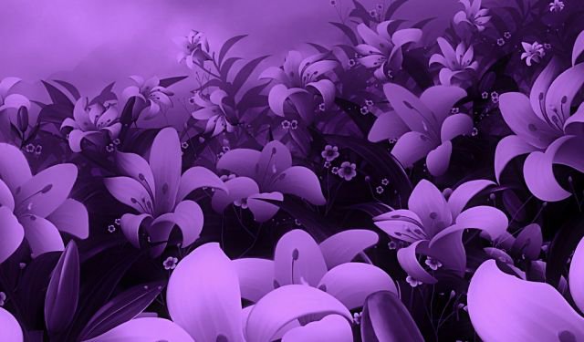 №337704 - оригинал