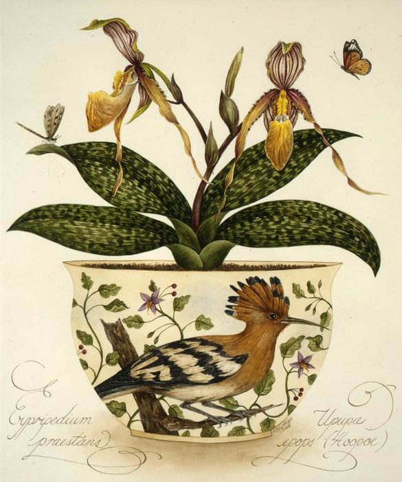 Цветочная фантазия - цветы, красота - оригинал