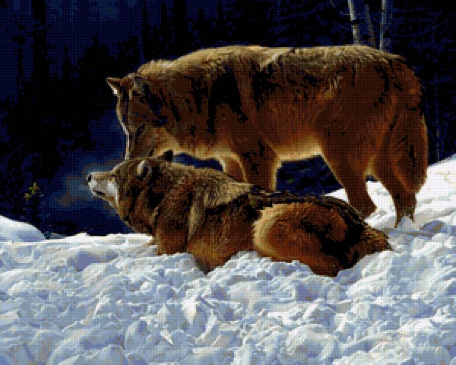 пара - предпросмотр