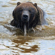 Схема вышивки «ЗАПЛЫВ»