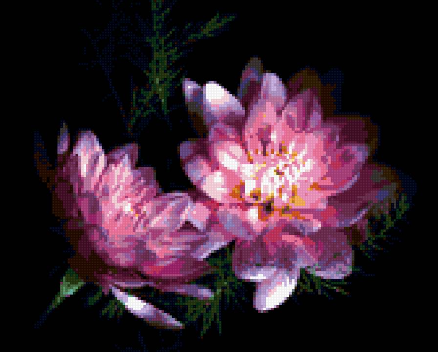 цветы на черном - предпросмотр