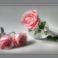 Схема вышивки «роза»