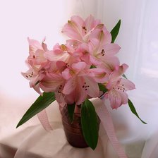 Схема вышивки «красота»