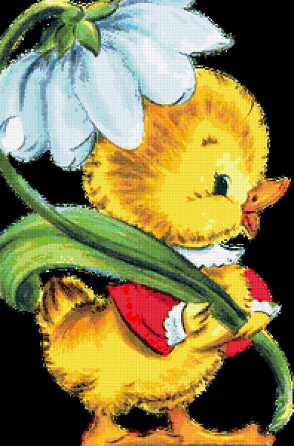 Пасхальные цыплята - пасха, цветок, нарциссы, цыплята, цветы, цыпленок - предпросмотр