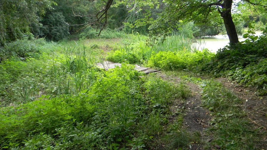 мосток - оригинал