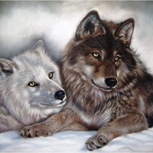 Оригинал схемы вышивки «пара волков» (№338092)