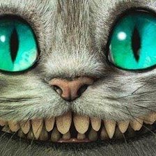 чеширский кот