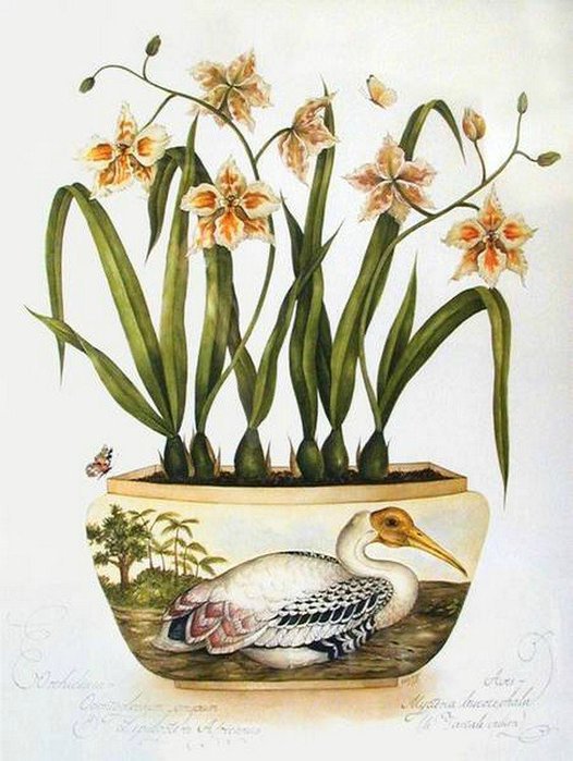 Цветочное настроение - красота, цветы - оригинал