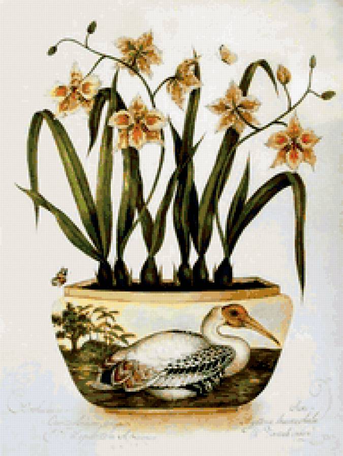 Цветочное настроение - цветы, красота - предпросмотр