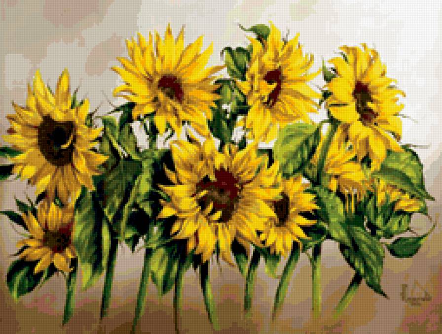 Цветочное настроение - цветы, красота - предпросмотр