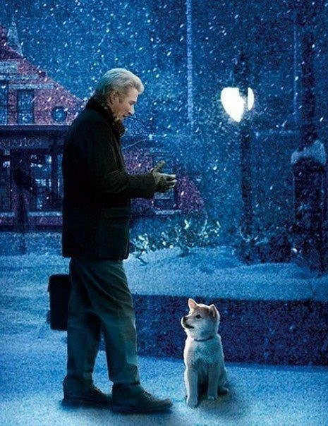 Хатико - оригинал