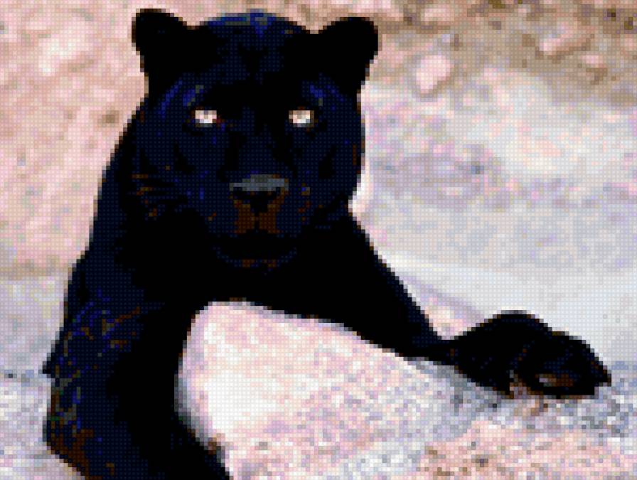 Пантера - пантера - предпросмотр