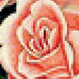 Предпросмотр схемы вышивки «Розы» (№338429)