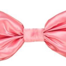 Схема вышивки «бант»