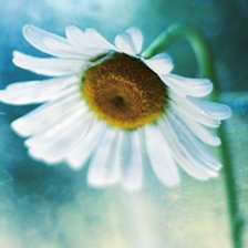 Схема вышивки «№338546»