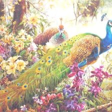 Схема вышивки «№338584»