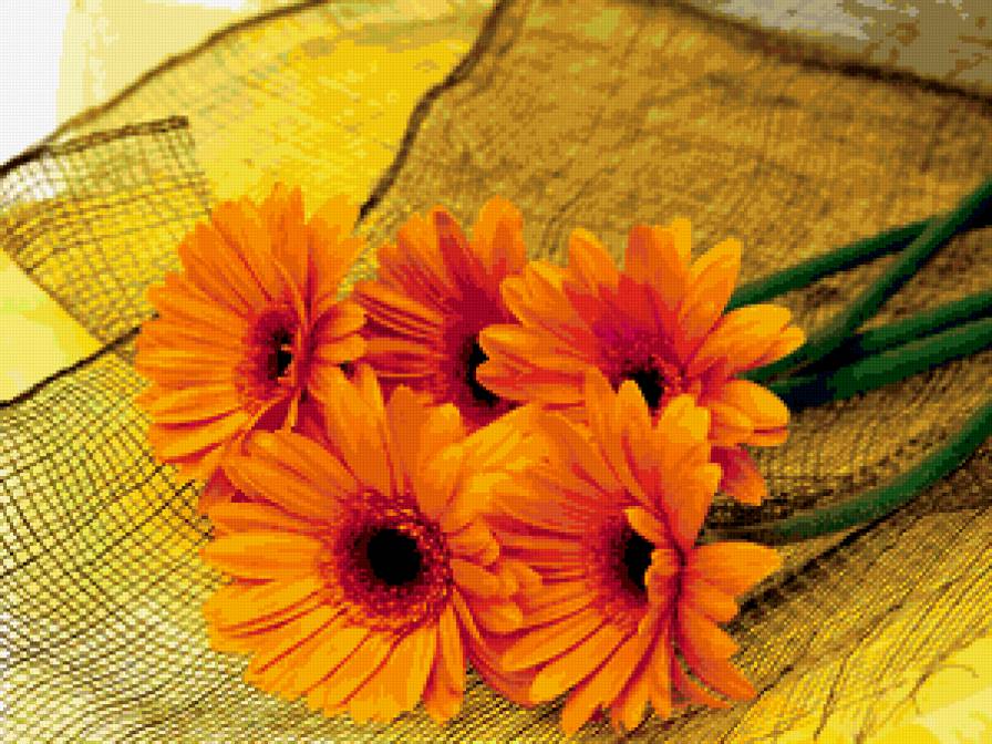 Герберы - цветы, букет - предпросмотр