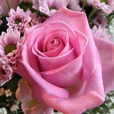 Схема вышивки «№338658»