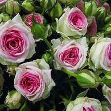 Схема вышивки «№338659»