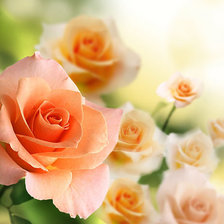 Схема вышивки «№338662»