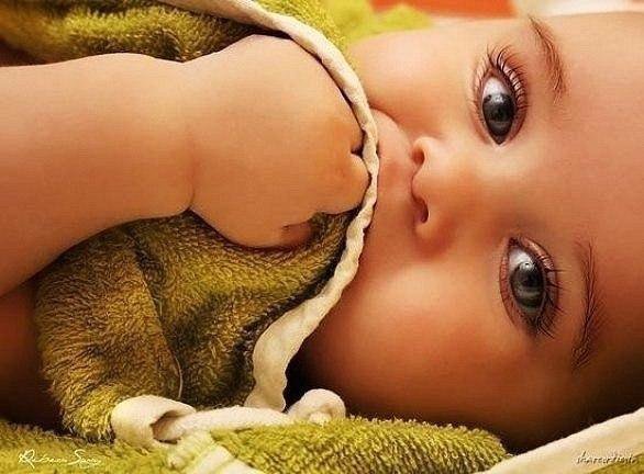 Буся - оригинал