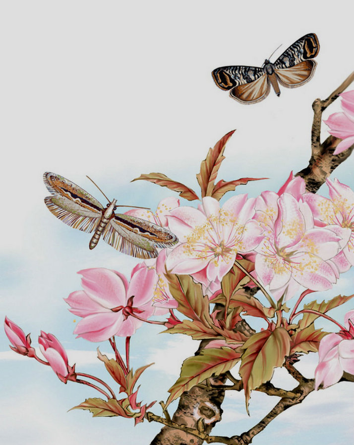 цветы - цветы - оригинал