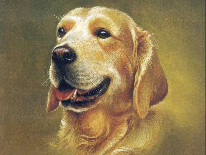 №338905 - оригинал