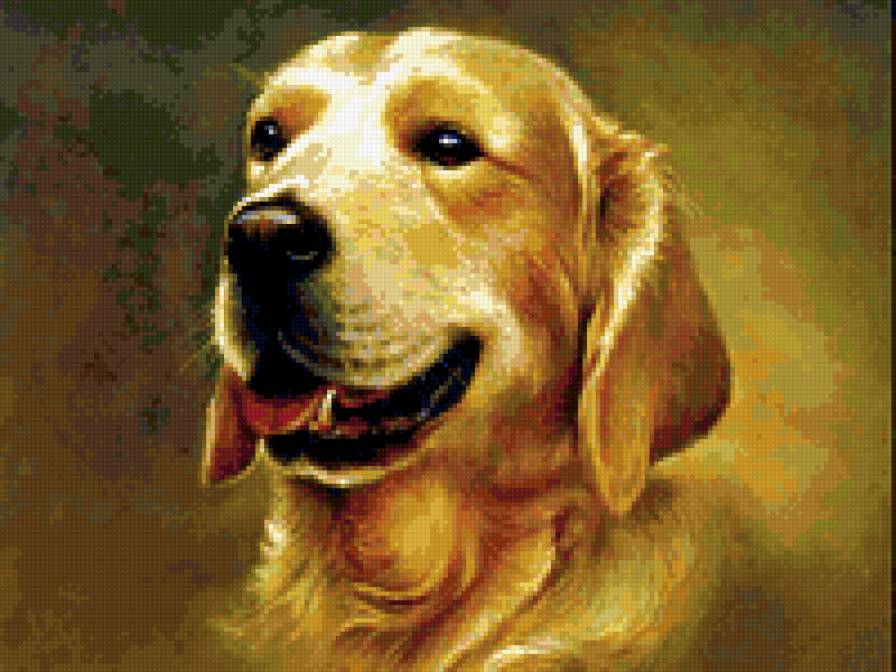 №338905 - предпросмотр