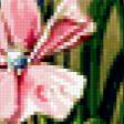 Предпросмотр схемы вышивки «№338981»