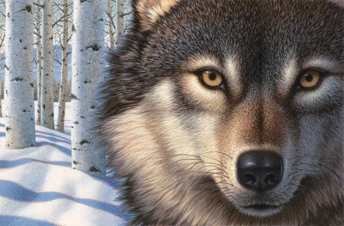 №338988 - оригинал