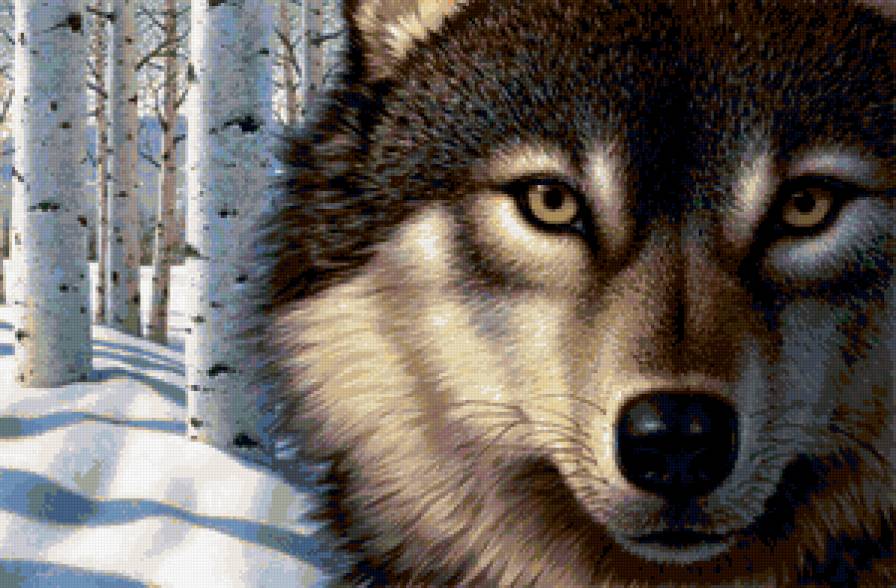 №338988 - предпросмотр