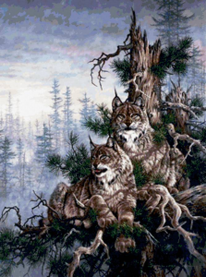 №338994 - предпросмотр