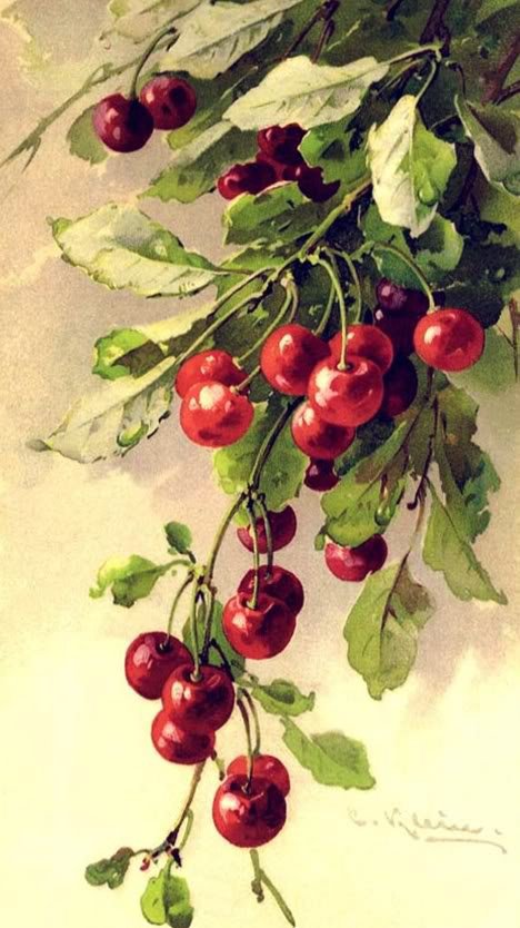 акварель - вишня - оригинал