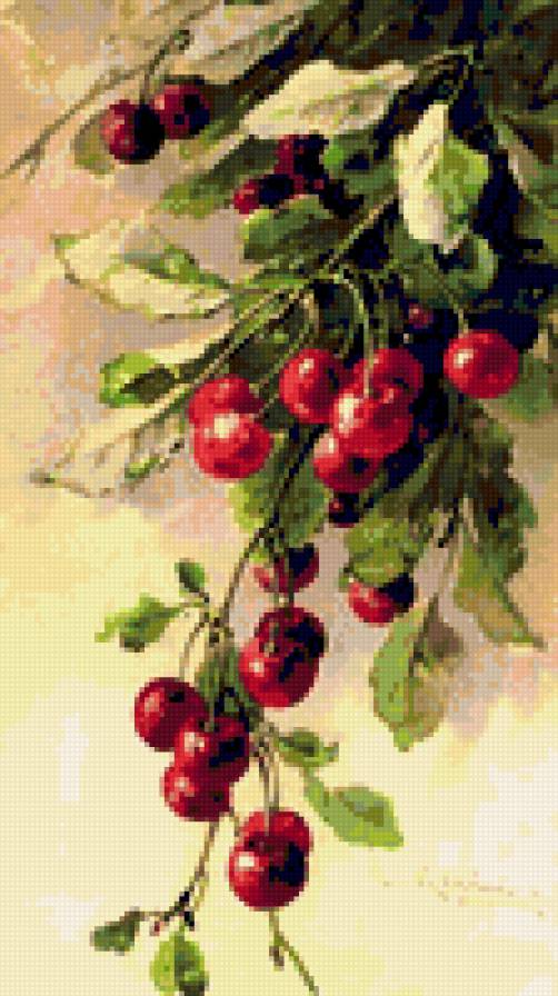 акварель - вишня - предпросмотр