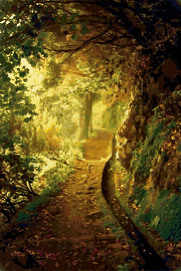 Тропинка - лес, тропинка, дорога - предпросмотр