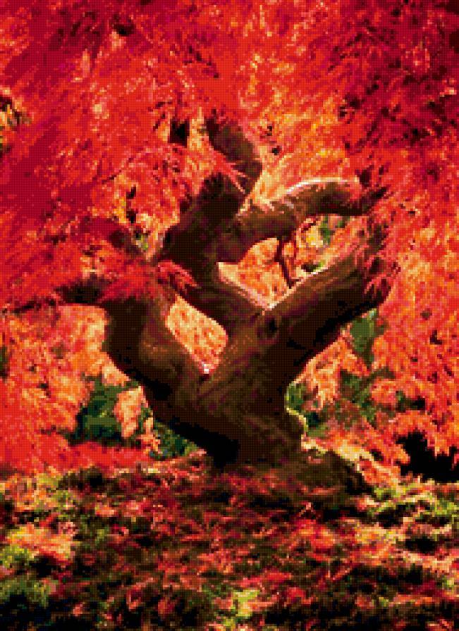 Как из сказки - дерево, осень - предпросмотр