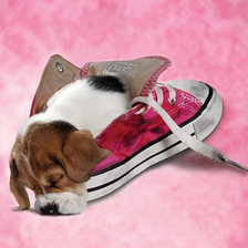 Схема вышивки «Щенок»