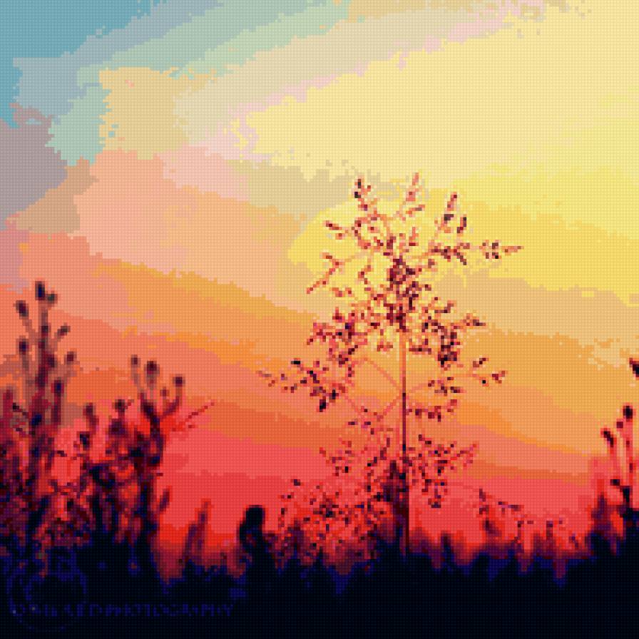 Закат в поле - трава, закат, поле - предпросмотр