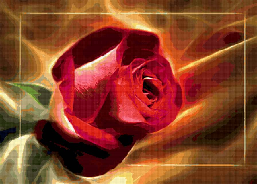 роза - роза, цветок, цветы, розы - предпросмотр