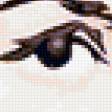 Предпросмотр схемы вышивки «иллюзия» (№339288)