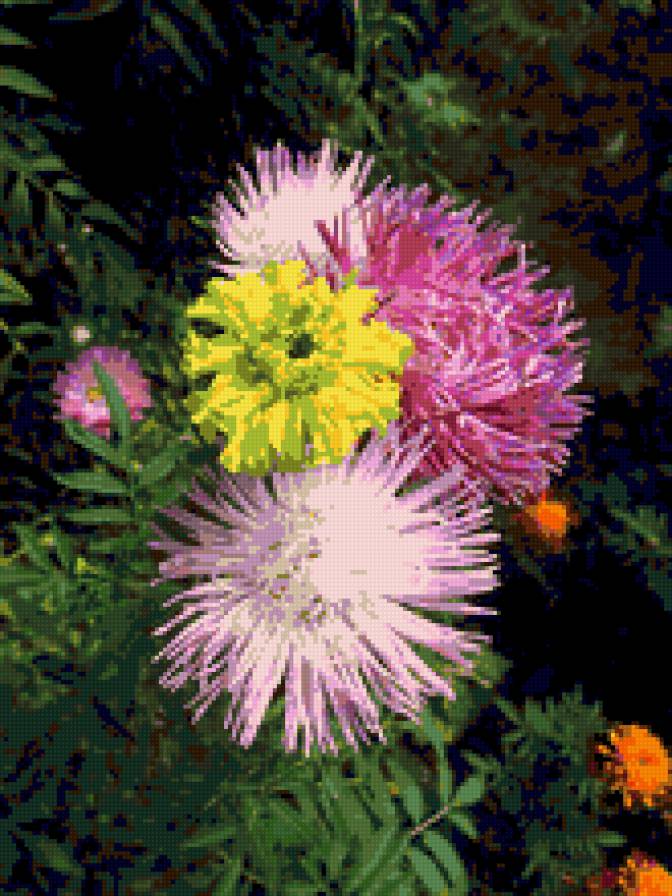 №339418 - букет, цветы - предпросмотр