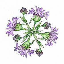 Схема вышивки «№339480»