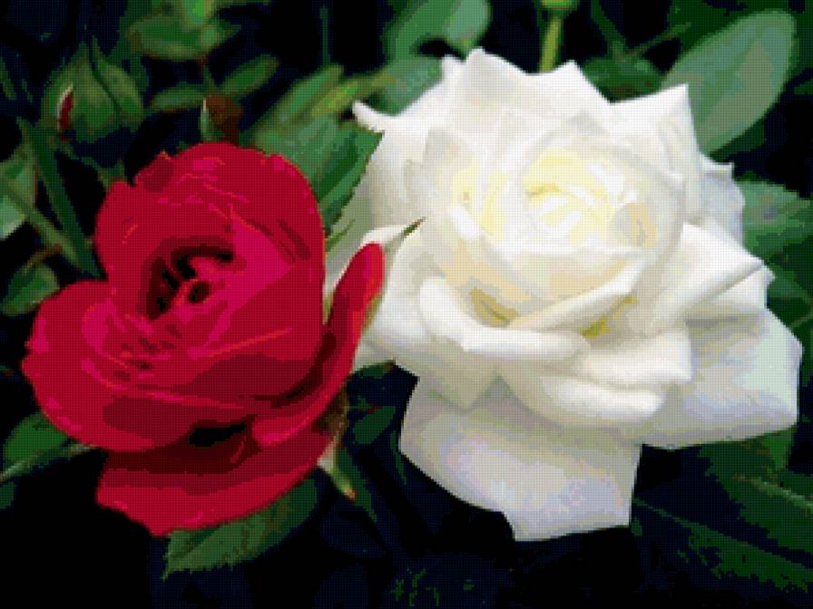 №339557 - предпросмотр